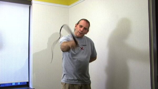 Snake Whip: Diagonal and X-Throw