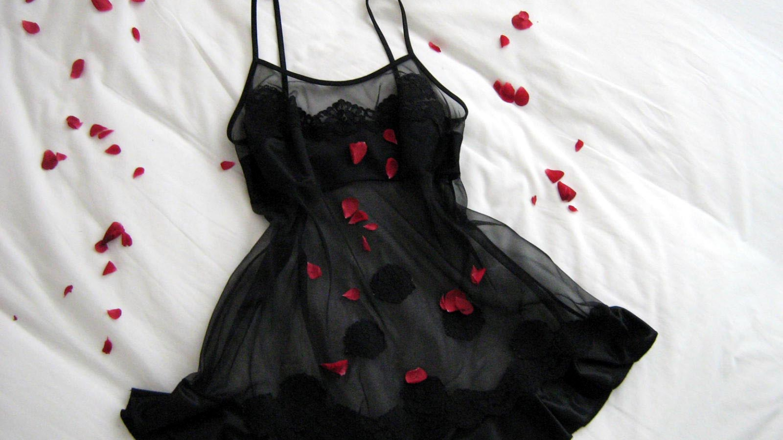 Photo of black lingerie with red rose petals