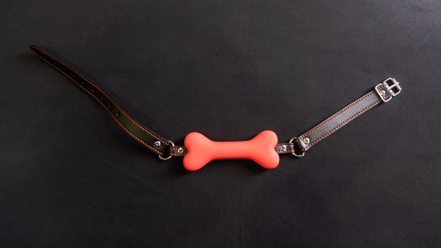 Photo of a bone-shaped fetish gag