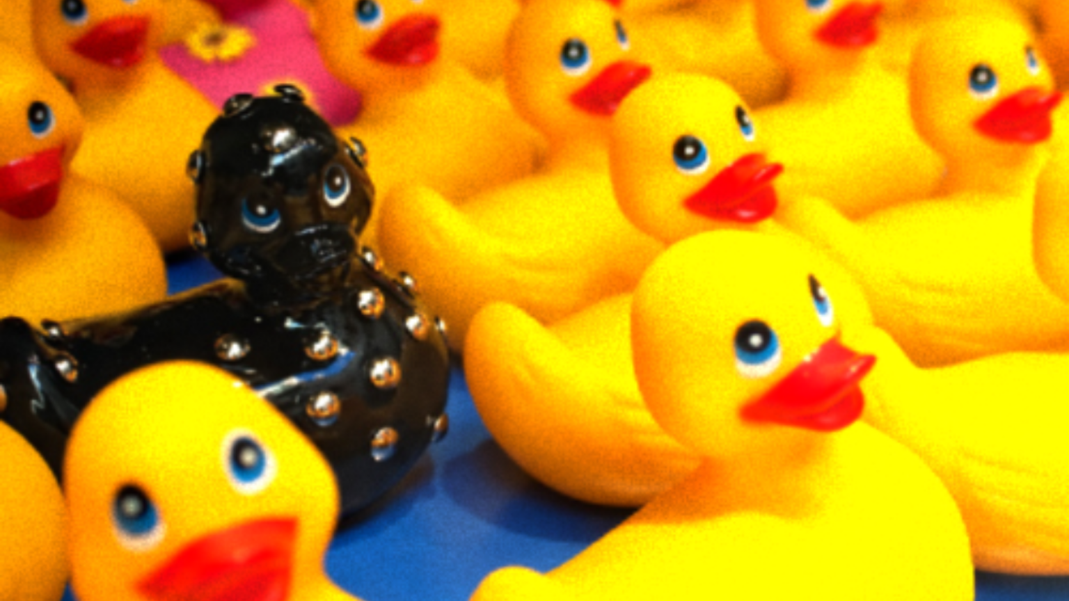 Rows of yellow rubber duckies with one black leather clad rubber ducky